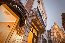 其他 Boutique Hotel Caelus VII