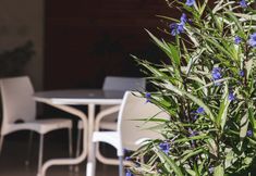 Others 2 Paradise Departamentos