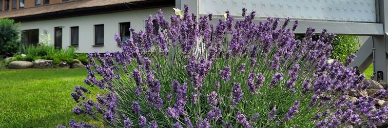 其他 Residenz am Ostufer