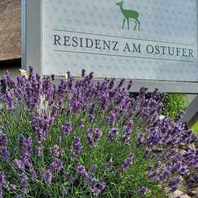 Primary image1Residenz am Ostufer,米里茨国家公园飯店