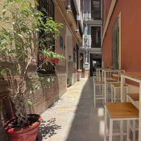 Primary image 1 フィール ホステル シティ センター, アルカウシン ホテル