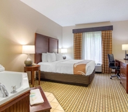 Others 4 Quality Inn & Suites Decatur - Atlanta East