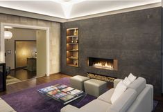 기타 5 Swiss Luxury Apartments Geneva