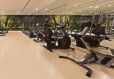 其他 5 Ramada Plaza by Wyndham Istanbul Atakoy