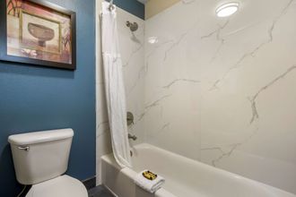 其他 4 Best Western Plus Mountain View Auburn Inn