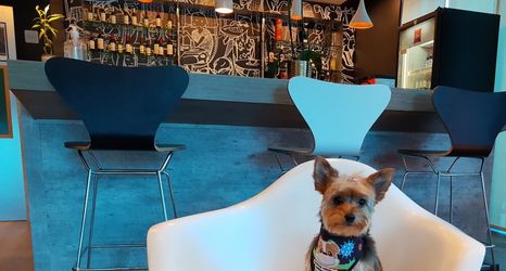 其他 2 ibis Passo Fundo Centro Hotel