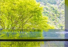기타 2 Hotel Iyaonsen