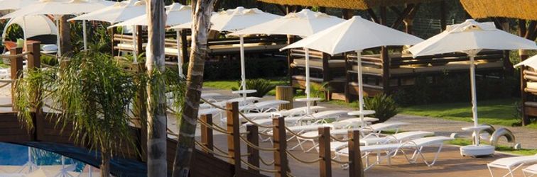 其他 Sentido Bellazure