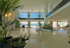 其他 2 Sentido Bellazure