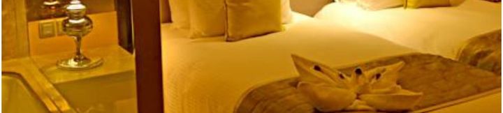 Lain-lain 4 Radisson Blu Jaipur