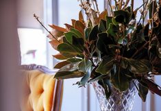Others 5 Bayswater Boutique Lodge