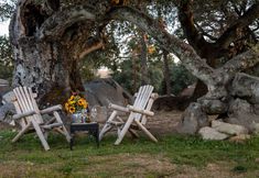 อื่นๆ 2 Apple Tree Inn