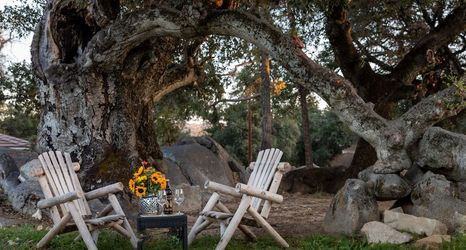 อื่นๆ 2 Apple Tree Inn