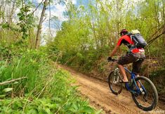 기타 4 Mövenpick Resort Antalya Tekirova