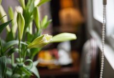 その他 6 Dragon Pearl Hotel