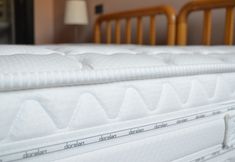 Others 3 Albergo Ristorante Giardino