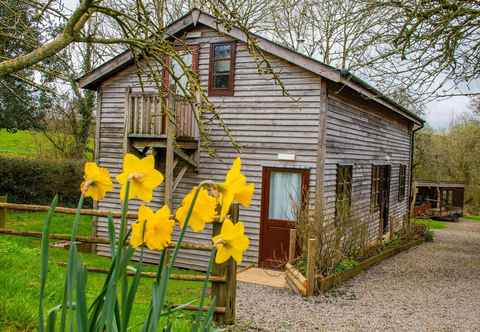 Lain-lain 3-bed Lodge With Direct Access to the Tarka Trail