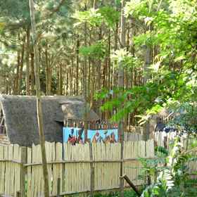 Primary image1Nyungu Yamawe Forest Park,金贾飯店