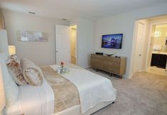 その他 7 Solara by PRP