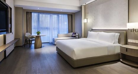 その他 2 Grand Mercure Shanghai Lingang