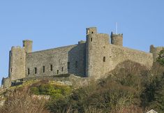 その他 2 Garnedd Lwyd