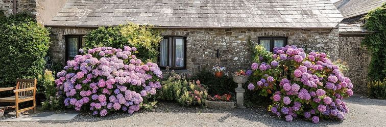 Others Coach House Cottage