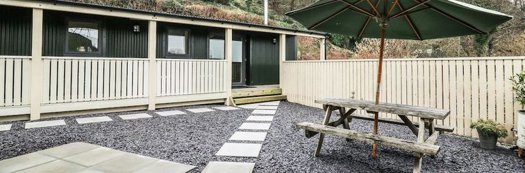 Others Y Felin - Celyn