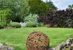 Others 5 Yew Tree