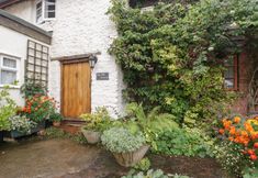 其他 3 The Old Bakery