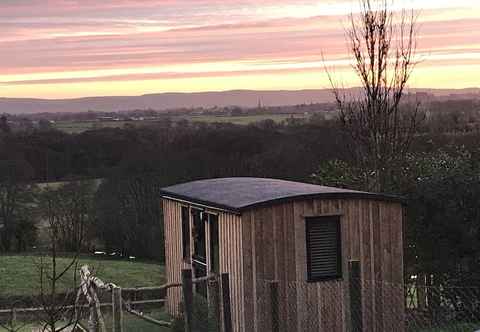 Others Stunning Shepherds Hut Rural Bliss Dumfries