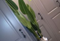 Khác 4 S3 King Residence