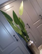 Khác 4 S3 King Residence