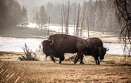 Others 7 Wander Camp Yellowstone