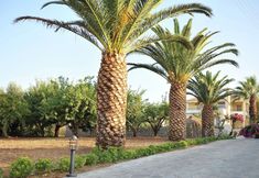 기타 2 Villa With Private Pool, BBQ Area