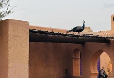 Others 7 Marrakesh 6-bed Housing Authentic Berber