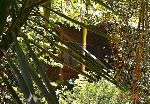 Others Iguana Roost for Explorers, Families or Travelers Welcome to The Tropical Acre