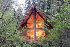 Others Mt Baker Lodging Cabin 4 - Sleeps 5