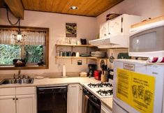 Others 4 Mt Baker Lodging Cabin 4 - Sleeps 5