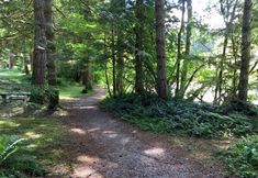 기타 7 Mt Baker Lodging Condo 41 - Sleeps 8