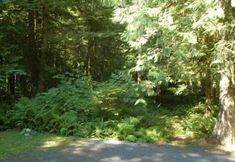 其他 7 Mt Baker Lodging Cabin 67 - Sleeps 5