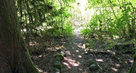 Others 2 Mt Baker Lodging Cabin 63 - Sleeps 6