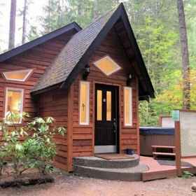 Primary image1Mt Baker Lodging Cabin 16 - Sleeps 2,霍特科姆县別墅