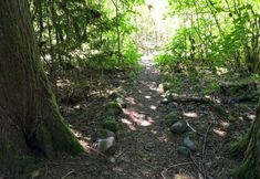 其他 6 Mt Baker Lodging Cabin 70 - Sleeps 8