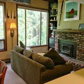 Primary image 1 Mt Baker Lodging Condo 59 Sleeps 6, 霍特科姆县 Apartments