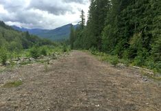 其他 7 Mt Baker Lodging Cabin 20 - Sleeps 6