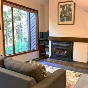 Primary image 1 Mt Baker Lodging Condo 14 - Sleeps 6, 霍特科姆县 公寓