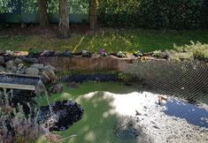 Others 6 Bright Holiday Home in Lanaken near Lake with Garden