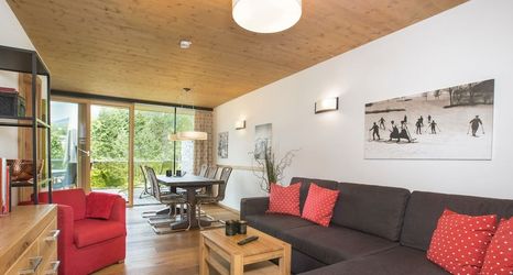 Others 2 Apartment in Wildkogel Near Ski Lift