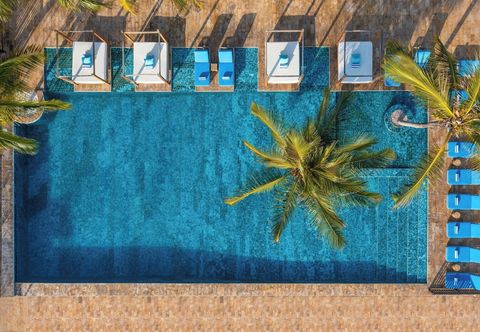 Others Le Mersenne Zanzibar, Autograph Collection