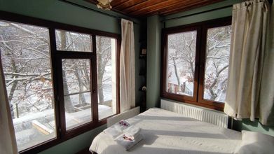 Lain-lain 4 Torrhebia Dag Evi